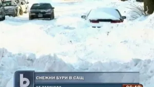 15 души загинаха при снежна буря в САЩ