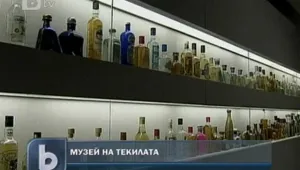 На чашка в музея на текилата