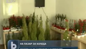 В Румъния хората вече пазаруват за Коледа и онлайн