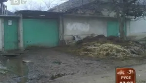 Семейство 