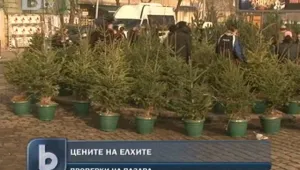 Земеделският министър провери за нередовни  елхи