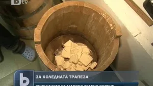 Зелено сирене за Коледа 