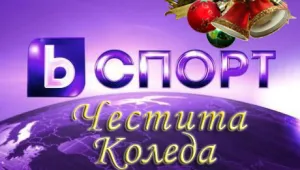 Весели Коледни празници!