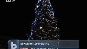 Коледната елха на София засия празнично