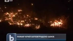 Пожар пламна край Ботевградско шосе