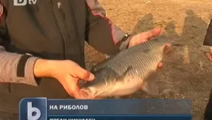 Рибари: Шарана ще си го купим, то е ясно