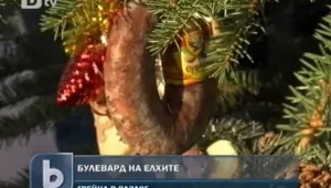 Елхи с луканки, кифлички и вино в Разлог  