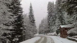 Лифтът в Пампорово е незаконен