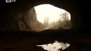 Мъртви прилепи в Деветашката пещера след 