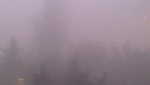 Какви опасности се крият в мъглата?