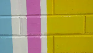 Световно първенство по гледане на съхнеща боя!