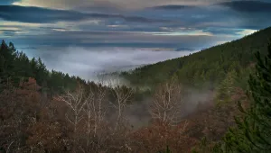Слънчево, но ветровито и студено