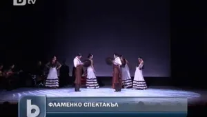 Фламенко треска в София