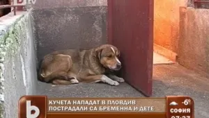 Кучета нападнаха бременна жена в Пловдив
