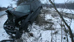 Автомобил се удари в паднало дърво край Смолян
