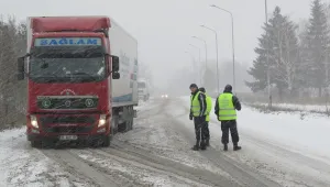 Паднали дървета затвориха пътища, села останаха без ток, коли закъсаха при Петолъчката