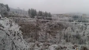 Населени места в Монтанско останха без ток заради снега