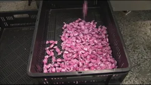 Български бонбони играят ролята на дезодорант