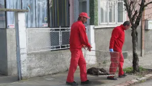 Условни присъди за собствениците на питбули, убили жена