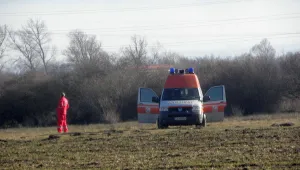 Бик уби пазач на животни край Разлог