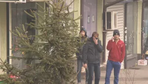 Скандали и сбивания между имигранти тормозят 