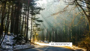 Още по-студено утре