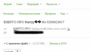 Хакери в действие: Хиляди получиха писма с вирус от името на енергото  