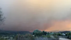 Пожарите в Калифорния се разрастват