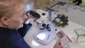 Коледен подарък, колкото човешка клетка