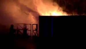 Голям пожар горя в лондонския зоопарк, има изчезнали животни (ВИДЕО)