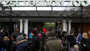 Лондонският зоопарк отвори врати след вчерашния пожар 