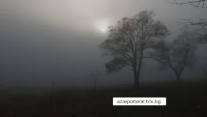 Сутрешни мъгли 
