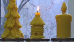Пътят на светлината – от кошера до нашите ръце