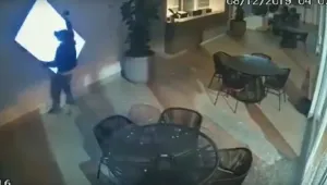 Некадърни престъпници не успяха да задигнат скъп телевизор в Бразилия (ВИДЕО)
