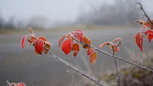 И в неделя ще има мъгли в низините и слънце в планините