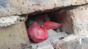 21 арестувани в Бургас и Несебър в рамките на акция 