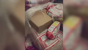 Откриха близо 5000 кутии контрабандни цигари в камион с прах за пране 