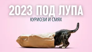 2023 под лупа: Кои бяха най-куриозните истории през годината