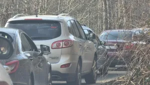 Километрична опашка от коли на българо-турската граница при ГКПП 