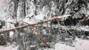 Сняг вали в почти цялата област Смолян, има закъсали коли на пътя за Пампорово