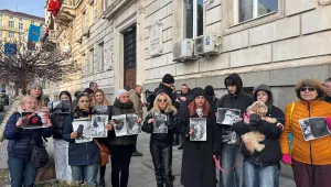 „Животните буквално бедстват“: Доброволци искат достъп до общинските приюти на празниците