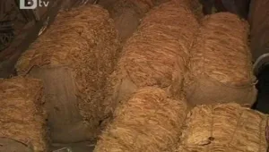 Експертна комисия ще следи изкупната кампания за тютюна