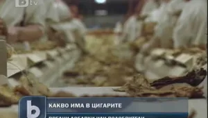 Пепел, пясък и отпадъци… в цигарите