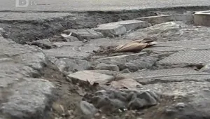 Виртуална карта показва къде са дупките във Варна