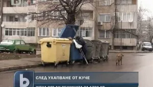 След ухапване от куче - жена осъди община