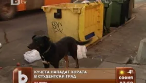 София се спасява от уличните кучета - през 2014 година