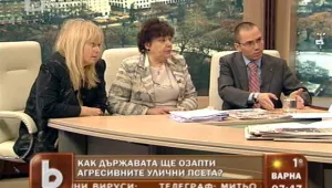 Ангел Джамбазки: Бездомните кучетата се увеличават с 1000 на година 