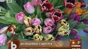 Букетът – най-хубавият подарък