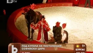 Козичката Бианка и понито Бимбо - на софийския манеж!