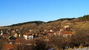 Обвиняват кмета на село Дивотино за укриване на данъци за над 800 000 лв.
